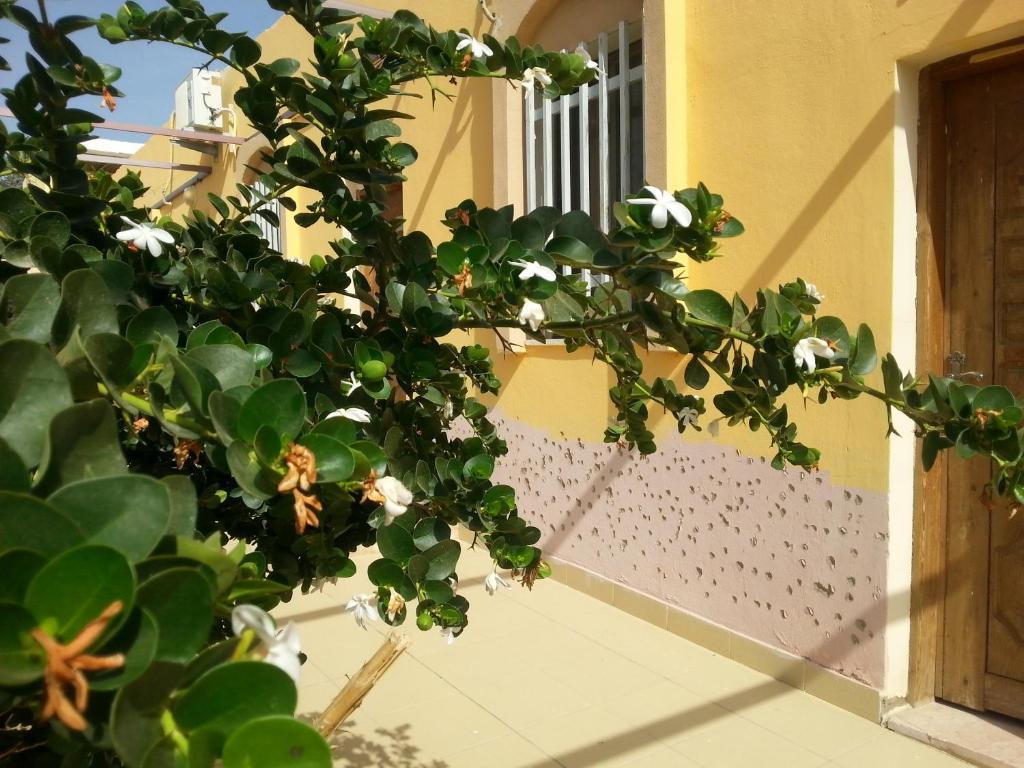 Darna Village Beach Hostel Al Burj Exterior foto